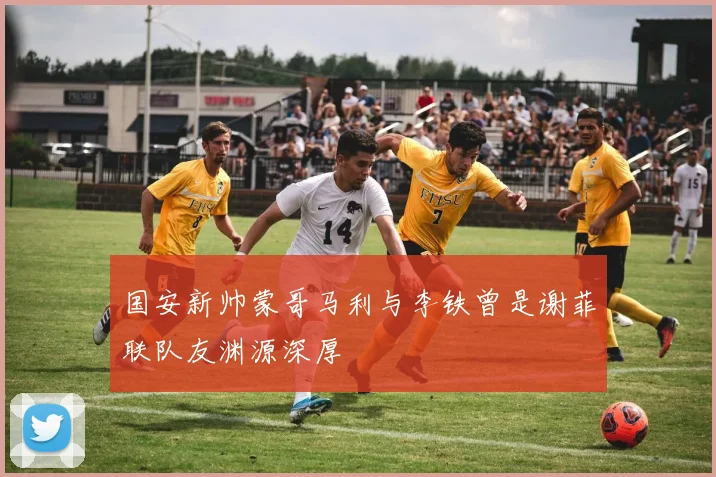 国安新帅蒙哥马利与李铁曾是谢菲联队友渊源深厚