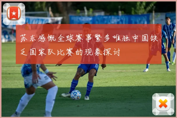 苏东感慨全球赛事繁多唯独中国缺乏国家队比赛的现象探讨
