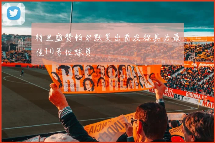 特里盛赞帕尔默复出首发称其为最佳10号位球员
